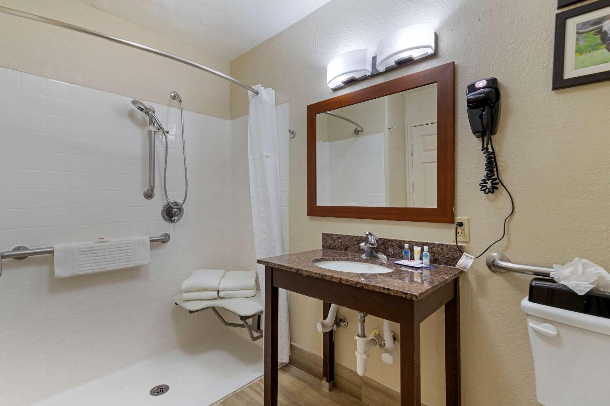 King Room Accessible or Non-Smoking