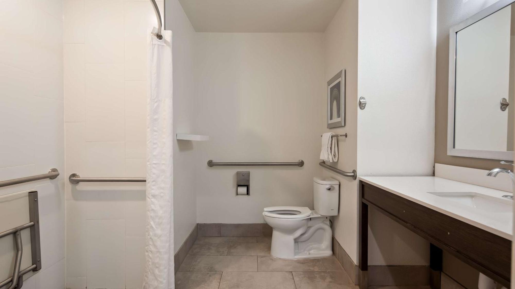 King Room Roll Shower Disability Access or Non-Smoking