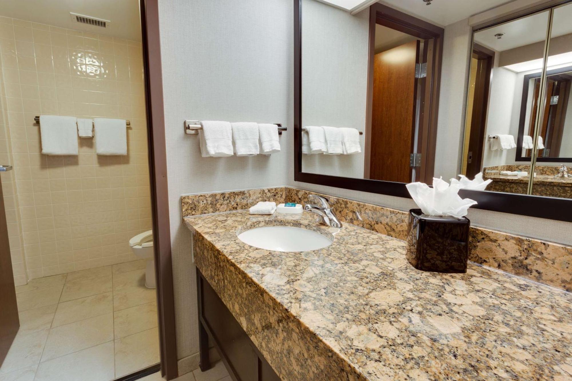 Deluxe Queen Suite