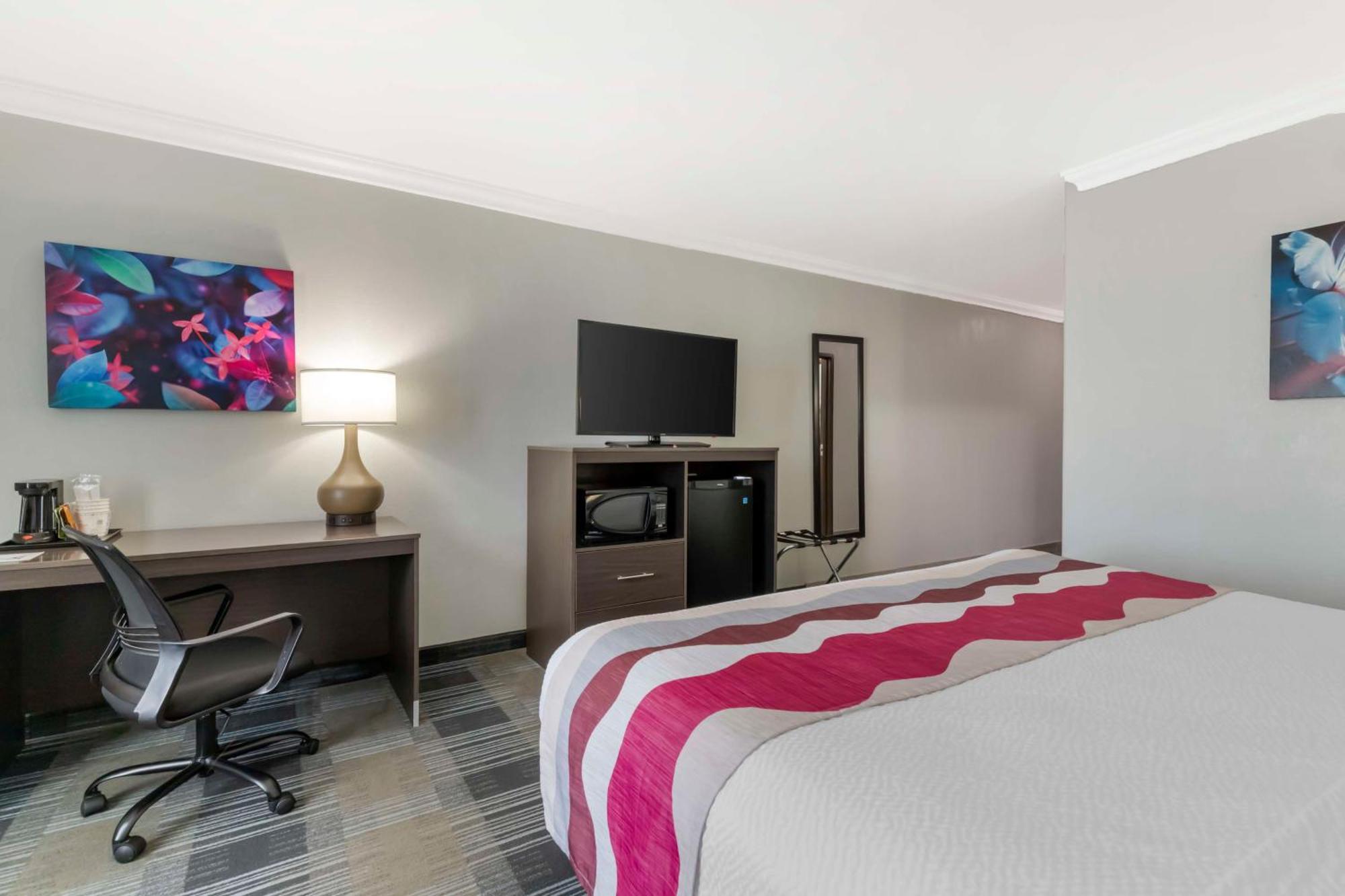 King Room