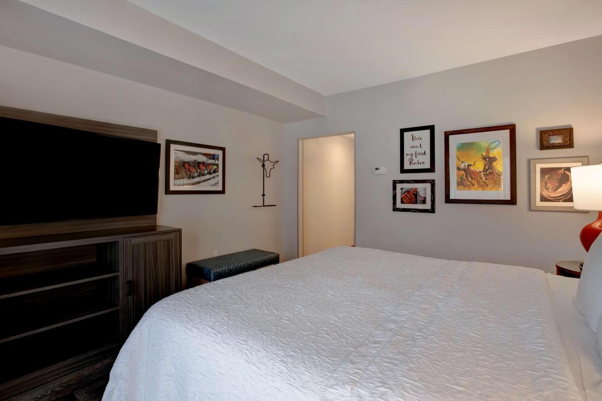 One-Bedroom King Suite Non-Smoking