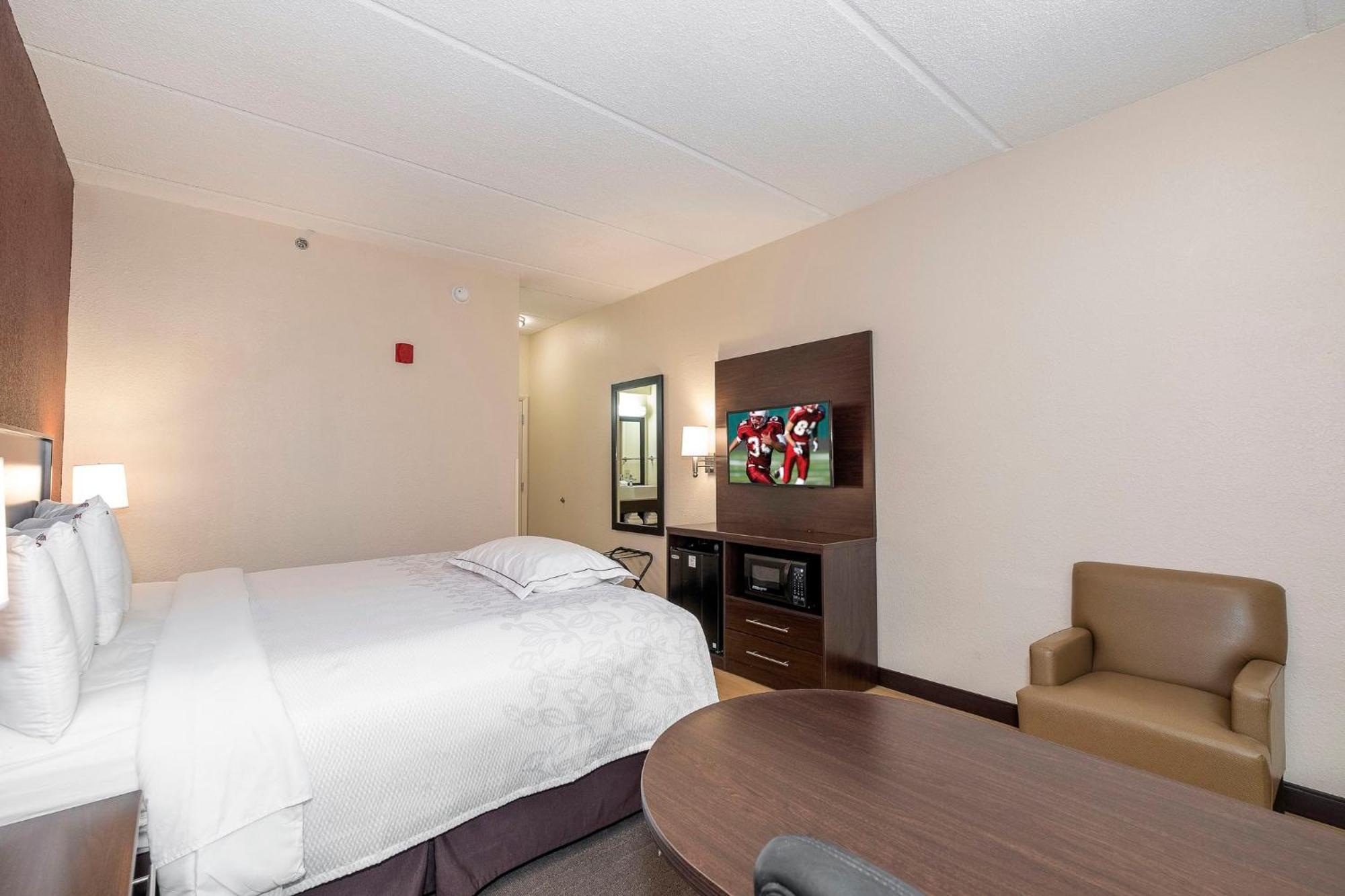 Premium King Room Smoke Free (Upgraded Bedding and Snack Box),1210441741:JPEG