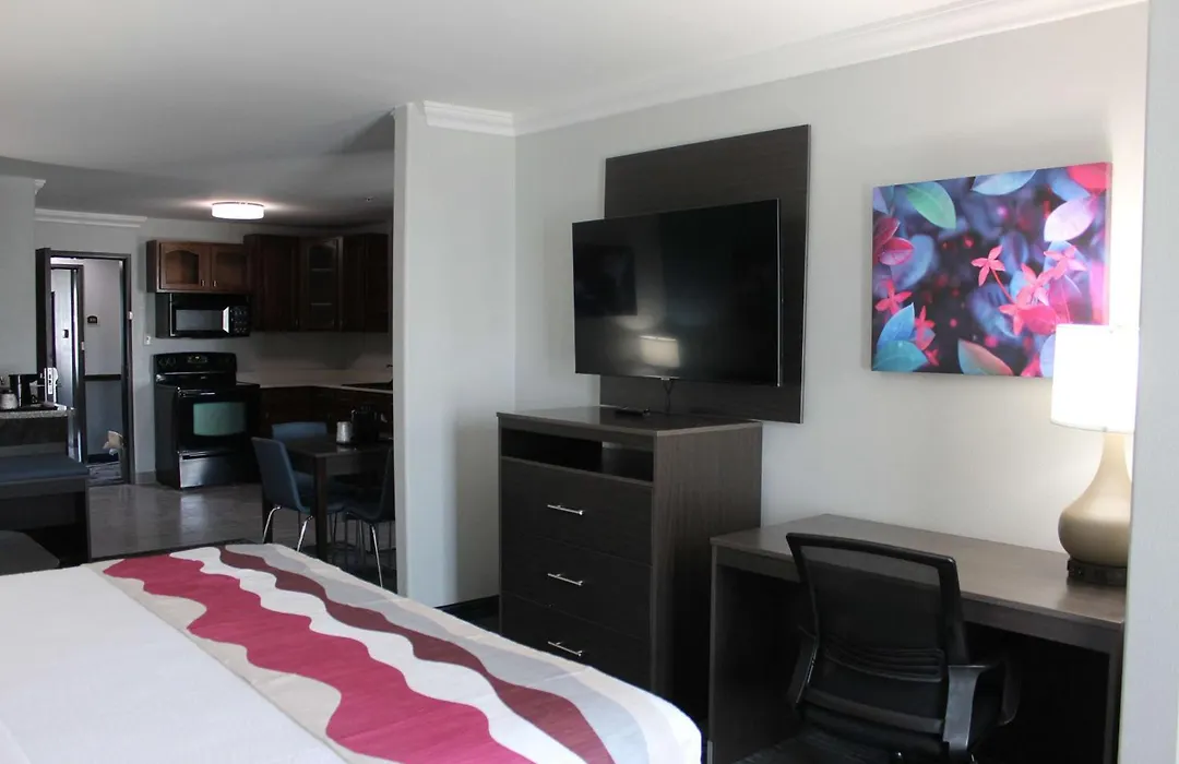 Best Western Medical Center North Inn & Suites Near Six Flags-1