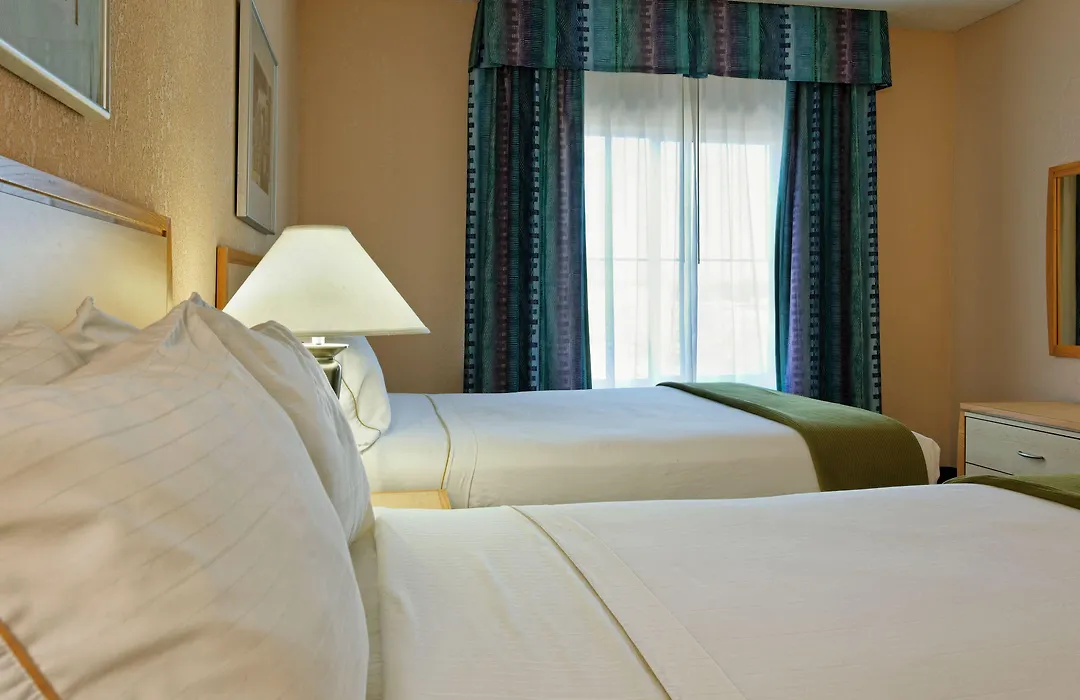 Holiday Inn Express Hotel & Suites San Antonio - Rivercenter Area By Ihg-1