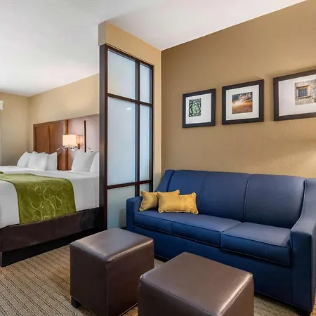 Comfort Suites San Antonio Airport North-3