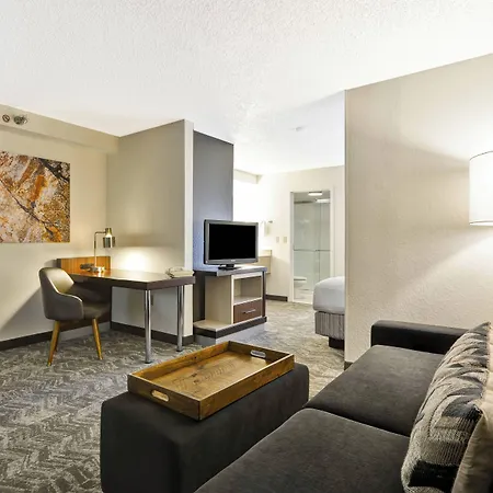 Springhill Suites By Marriott San Antonio Medical Center/Northwest-3