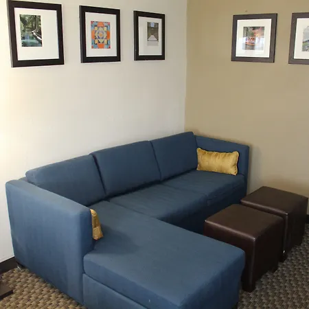 Comfort Inn & Suites Near Six Flags & Medical Center-3