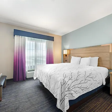 Best Western Plus San Antonio East Inn & Suites-3