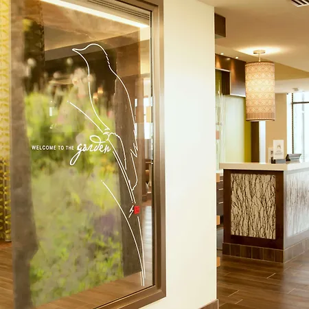 Hilton Garden Inn San Antonio-Live Oak Conference Center-2